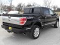 Black - F150 Platinum SuperCrew 4x4 Photo No. 6