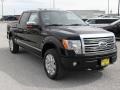 Black - F150 Platinum SuperCrew 4x4 Photo No. 8