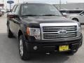 Black - F150 Platinum SuperCrew 4x4 Photo No. 9