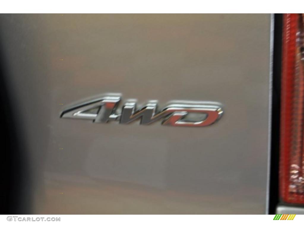 2003 RAV4 4WD - Titanium Metallic / Gray photo #5