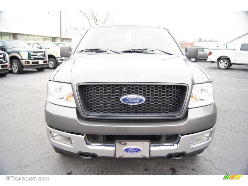 2005 F150 XLT SuperCab 4x4 - Dark Shadow Grey Metallic / Medium Flint Grey photo #7