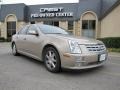 2005 Sand Storm Cadillac STS V8  photo #1