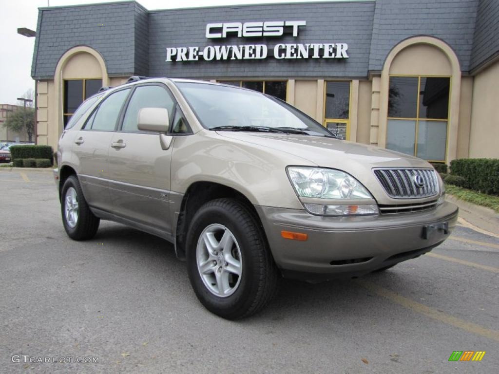 2002 RX 300 - Burnished Gold Metallic / Ivory photo #1