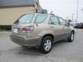 2002 Burnished Gold Metallic Lexus RX 300  photo #6