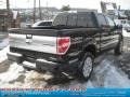 2011 Tuxedo Black Metallic Ford F150 Platinum SuperCrew 4x4  photo #3