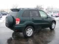 Rainforest Green Pearl - RAV4  Photo No. 3