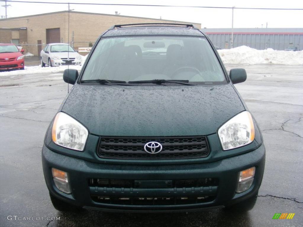 2003 RAV4  - Rainforest Green Pearl / Gray photo #8