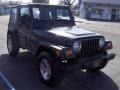 2004 Shale Green Metallic Jeep Wrangler X 4x4  photo #4