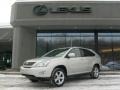 Millennium Silver Metallic - RX 350 AWD Photo No. 1