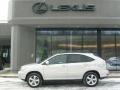 Millennium Silver Metallic - RX 350 AWD Photo No. 2