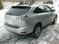 Millennium Silver Metallic - RX 350 AWD Photo No. 5