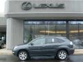 Flint Mica - RX 350 AWD Photo No. 2