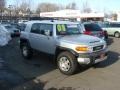 2008 Titanium Metallic Toyota FJ Cruiser 4WD  photo #1