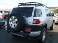 2008 Titanium Metallic Toyota FJ Cruiser 4WD  photo #4