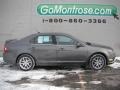 2011 Sterling Grey Metallic Ford Fusion SEL V6  photo #4