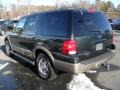 2003 Aspen Green Metallic Ford Expedition Eddie Bauer 4x4  photo #2