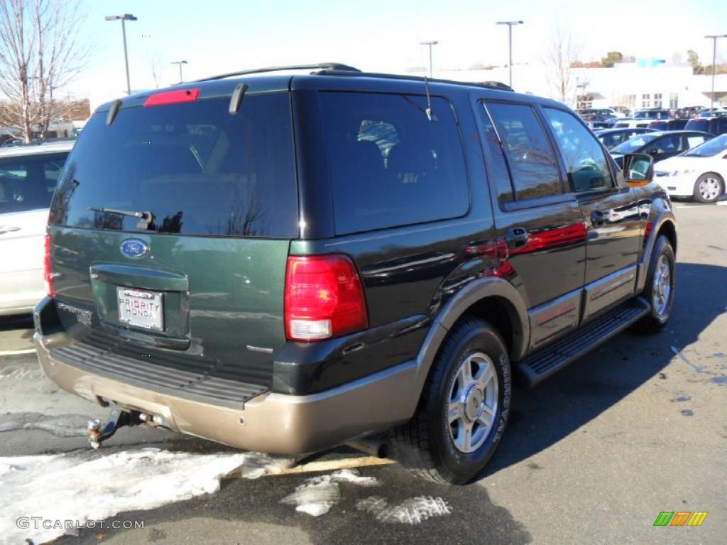 2003 Expedition Eddie Bauer 4x4 - Aspen Green Metallic / Medium Parchment photo #3