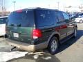 2003 Aspen Green Metallic Ford Expedition Eddie Bauer 4x4  photo #3