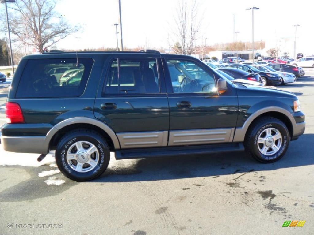 2003 Expedition Eddie Bauer 4x4 - Aspen Green Metallic / Medium Parchment photo #4
