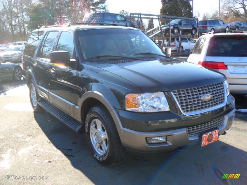 2003 Expedition Eddie Bauer 4x4 - Aspen Green Metallic / Medium Parchment photo #5