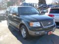 2003 Aspen Green Metallic Ford Expedition Eddie Bauer 4x4  photo #5