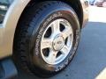 2003 Aspen Green Metallic Ford Expedition Eddie Bauer 4x4  photo #23