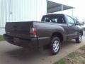 Magnetic Gray Metallic - Tacoma Regular Cab Photo No. 16