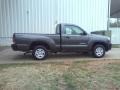 Magnetic Gray Metallic - Tacoma Regular Cab Photo No. 17