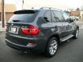 Platinum Gray Metallic - X5 xDrive 35i Photo No. 5