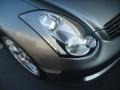 Diamond Graphite Metallic - G 35 Coupe Photo No. 19
