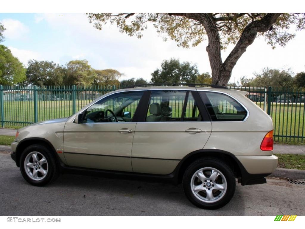 2000 X5 4.4i - Pearl Beige Metallic / Sand Beige photo #4