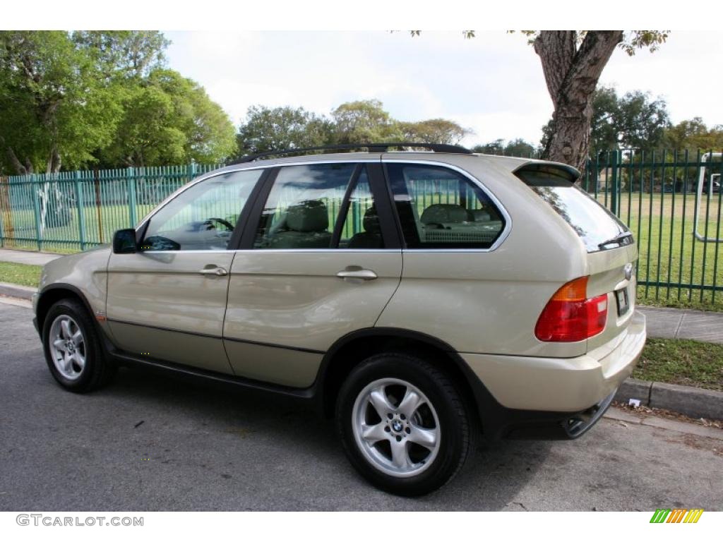 Pearl Beige Metallic 2000 BMW X5 4.4i Exterior Photo #44553673