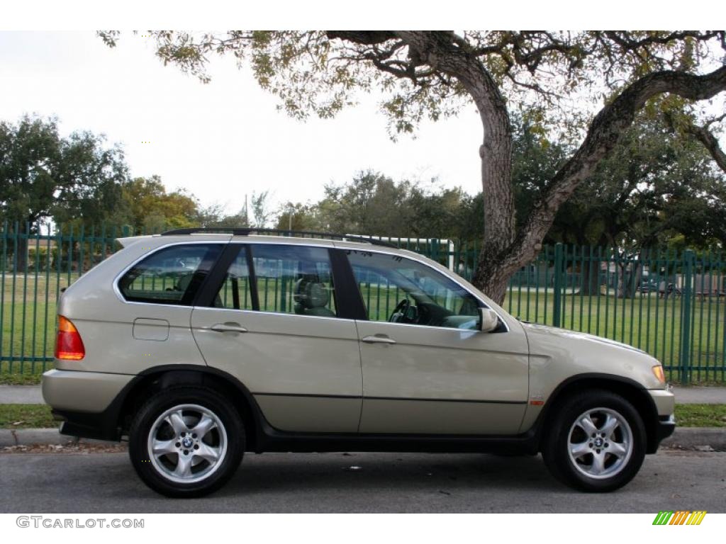 2000 X5 4.4i - Pearl Beige Metallic / Sand Beige photo #9