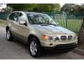 Pearl Beige Metallic - X5 4.4i Photo No. 14