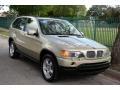 2000 Pearl Beige Metallic BMW X5 4.4i  photo #14