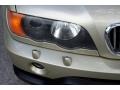 Pearl Beige Metallic - X5 4.4i Photo No. 17