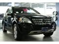 Black - ML 350 4Matic Photo No. 1