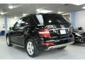 Black - ML 350 4Matic Photo No. 4