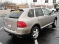 Jarama Beige Metallic - Cayenne S Photo No. 4