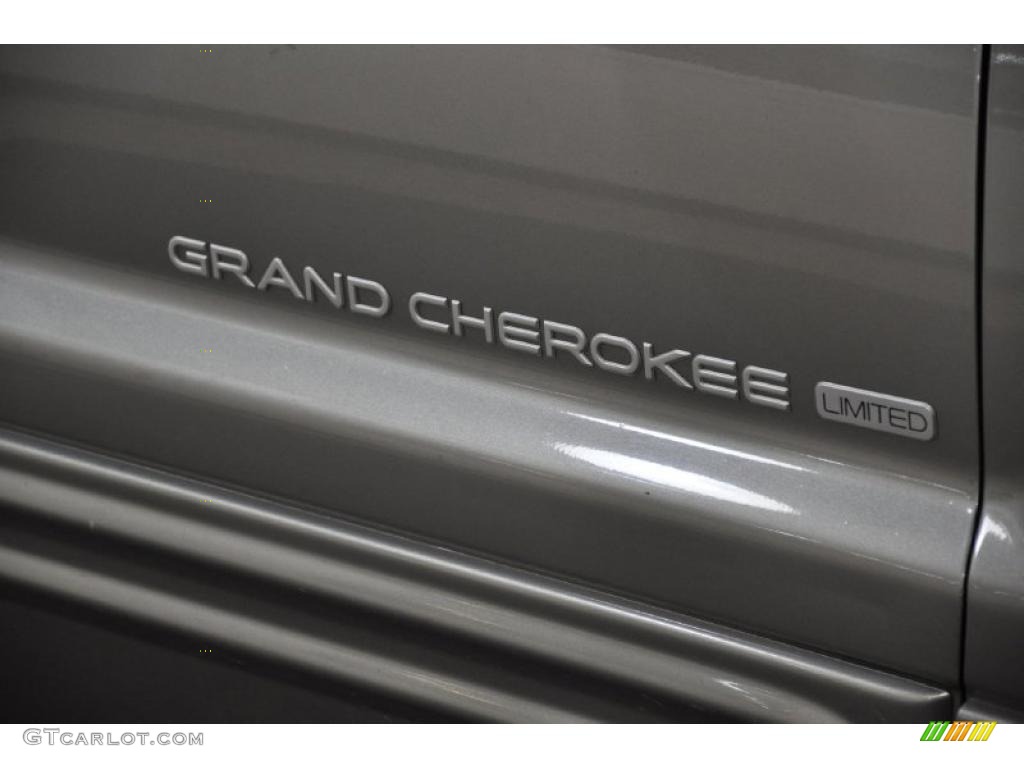 1999 Grand Cherokee Limited 4x4 - Bright Platinum Metallic / Agate photo #5