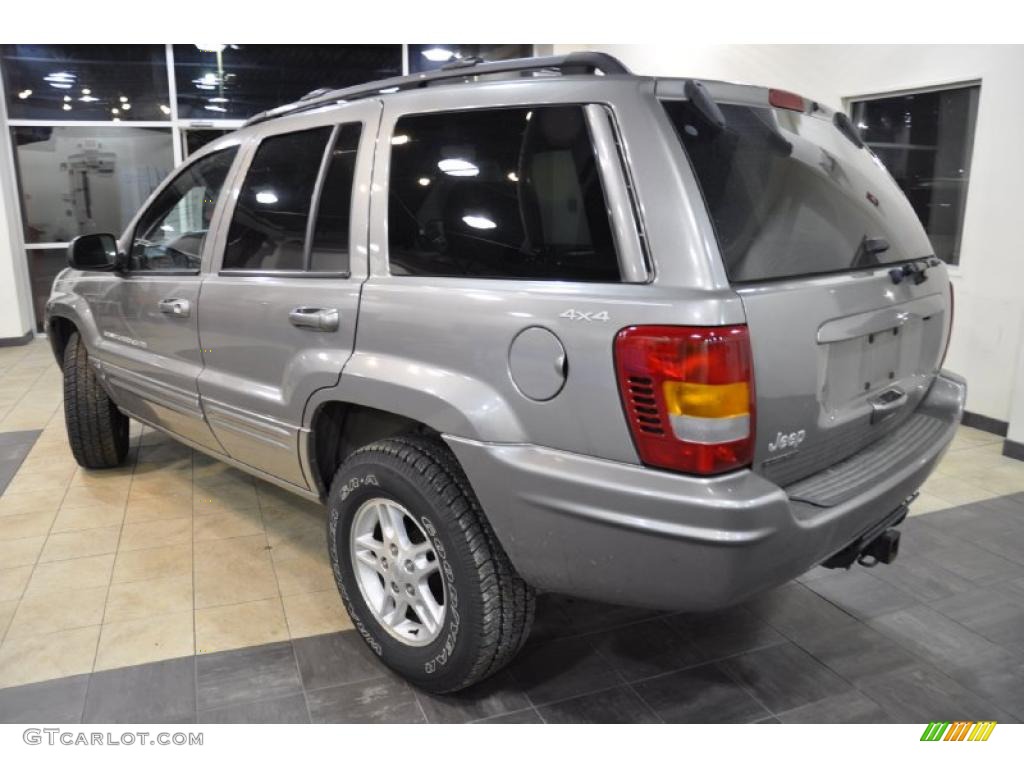 1999 Grand Cherokee Limited 4x4 - Bright Platinum Metallic / Agate photo #9