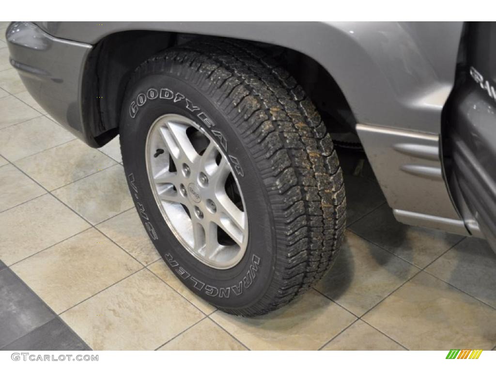 1999 Grand Cherokee Limited 4x4 - Bright Platinum Metallic / Agate photo #22