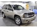 Light Pewter Metallic - TrailBlazer LS Photo No. 4