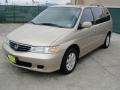 Mesa Beige Metallic - Odyssey EX-L Photo No. 7