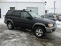 Super Black - Pathfinder SE 4x4 Photo No. 6