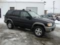 2000 Super Black Nissan Pathfinder SE 4x4  photo #6