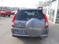 Pewter Pearl - CR-V Special Edition 4WD Photo No. 5