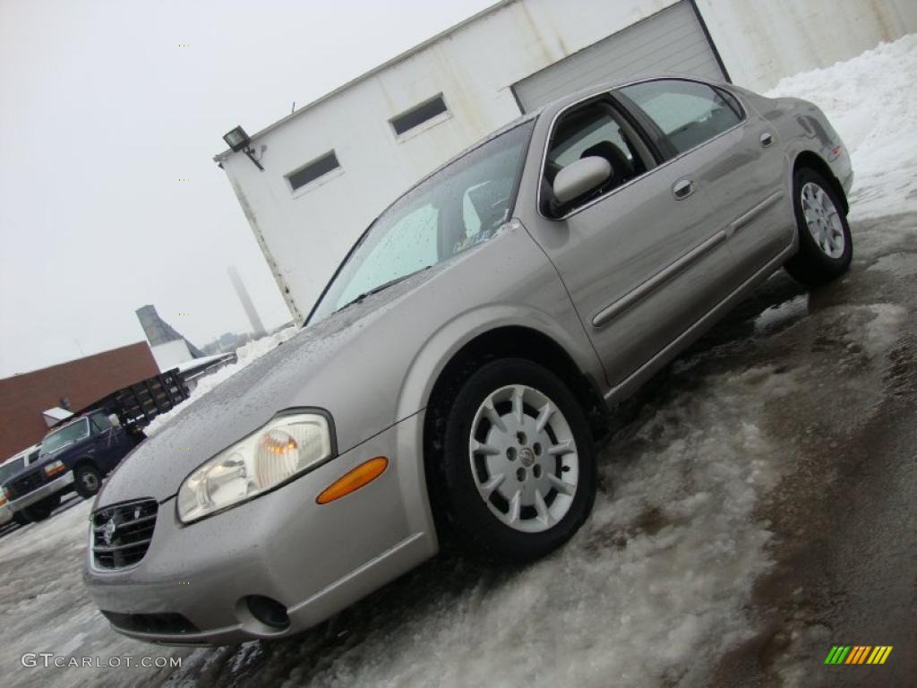 2000 Maxima SE - Sterling Mist Metallic / Frost photo #1