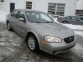 2000 Sterling Mist Metallic Nissan Maxima SE  photo #4