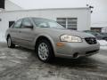 2000 Sterling Mist Metallic Nissan Maxima SE  photo #5